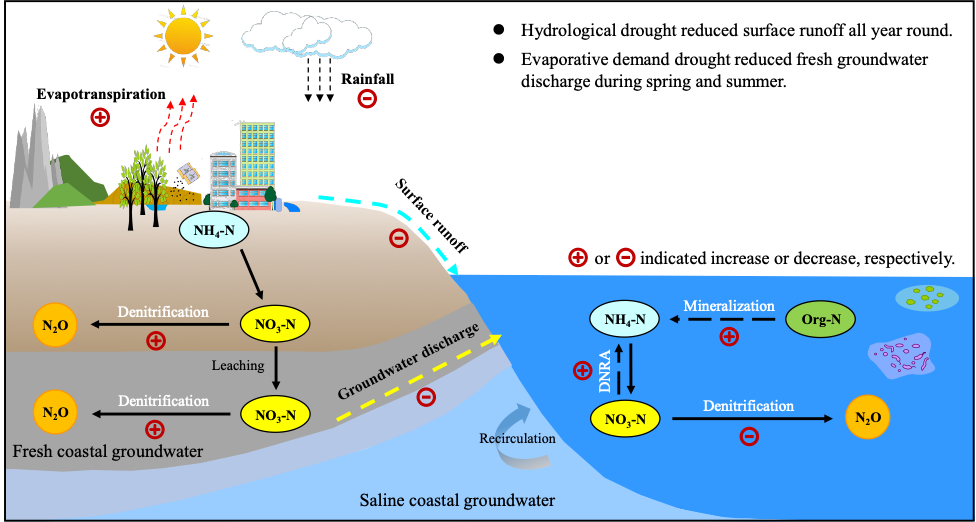 科研进展 | 干旱事件减少海湾的氮供应与N₂O排放