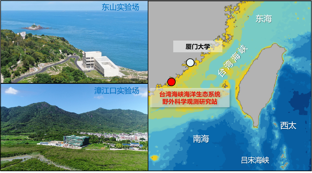 我校台湾海峡海洋生态系统野外科学观测研究站入选国家野外科学观测研究站择优建设名单