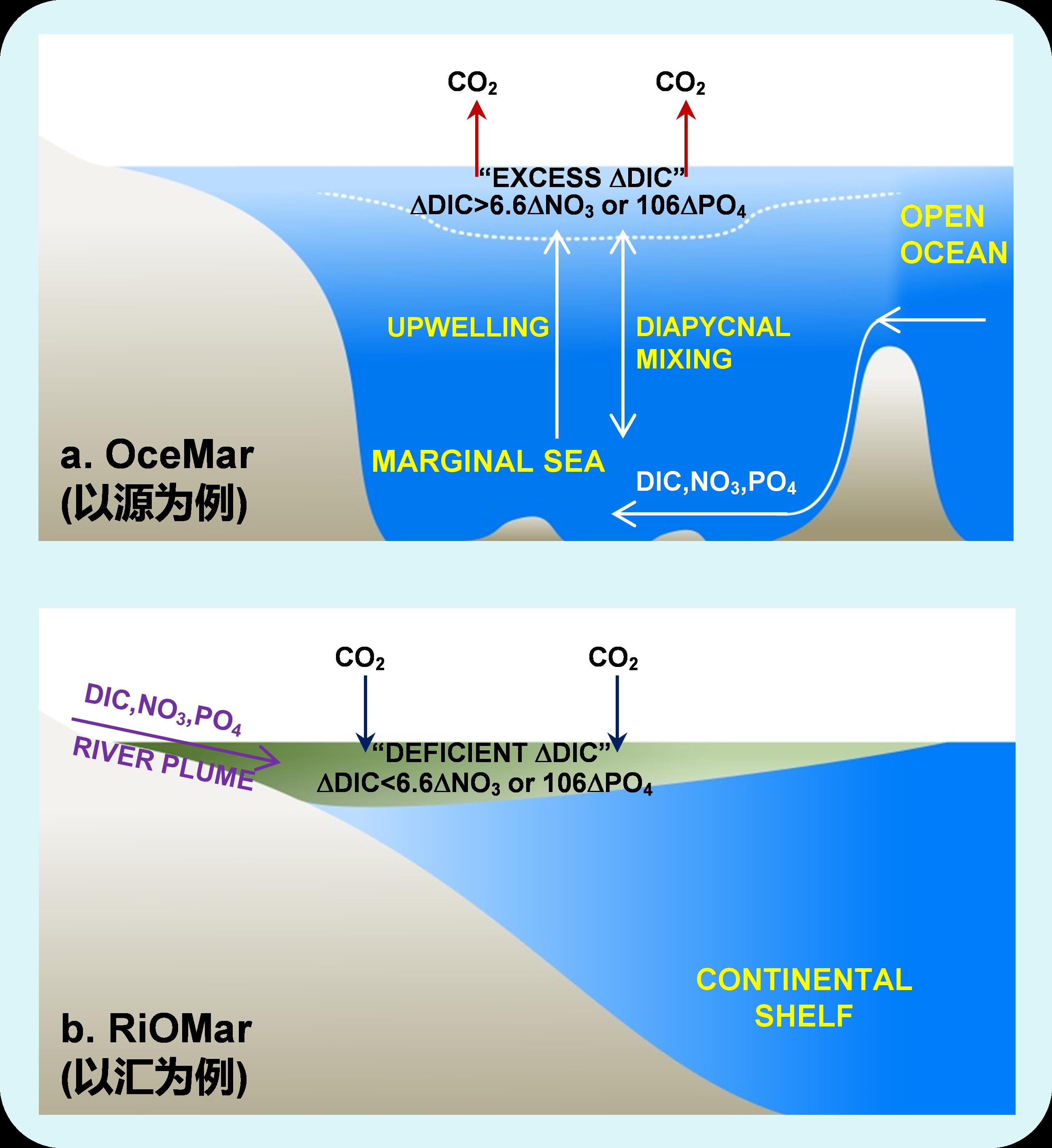 边缘海CO2源汇新解析Diagnosis of CO2 dynamics and fluxes in global coastal oceans