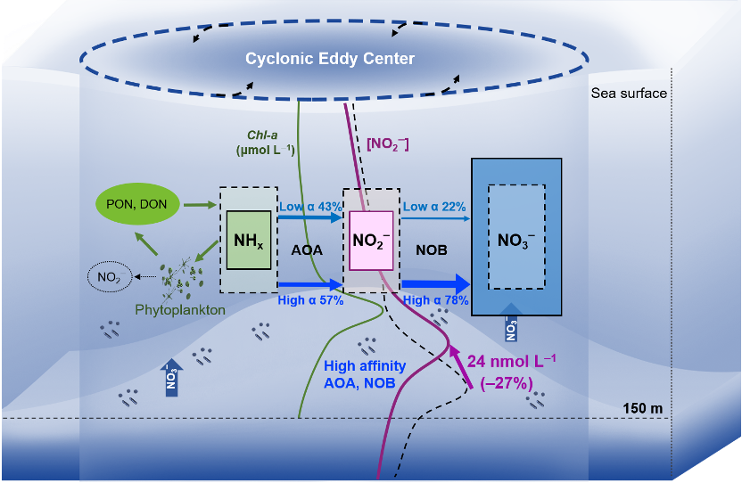 张瑶教授团队在Science Advances发表海洋中尺度动力-生物地球化学耦合研究重要成果