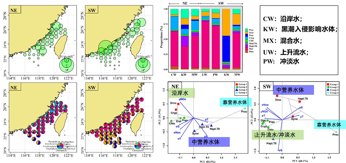 15年数据集，揭示台海浮游植物群落时空演变格局