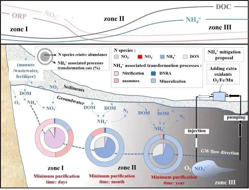 地下水高浓度氨氮累积机制及其缓解方案